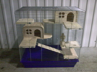 Клетки для шиншилл - <ro>Изображение</ro><ru>Изображение</ru> #3, <ru>Объявление</ru> #628301