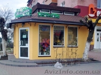 Дома Америки и Канады. - <ro>Изображение</ro><ru>Изображение</ru> #1, <ru>Объявление</ru> #613333