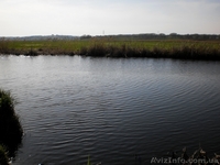 Продам старый дом на 17,5 сот в Белогородке - <ro>Изображение</ro><ru>Изображение</ru> #7, <ru>Объявление</ru> #639332