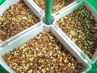 Проращиватель семян Ves Electric V-GH 201 - <ro>Изображение</ro><ru>Изображение</ru> #2, <ru>Объявление</ru> #618279