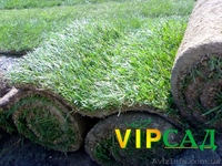 Рулонный газон купить  - <ro>Изображение</ro><ru>Изображение</ru> #2, <ru>Объявление</ru> #617890