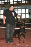 Надёжная защита Вас и вашего имущества - <ro>Изображение</ro><ru>Изображение</ru> #2, <ru>Объявление</ru> #669756