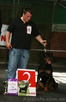 Надёжная защита Вас и вашего имущества - <ro>Изображение</ro><ru>Изображение</ru> #1, <ru>Объявление</ru> #669756