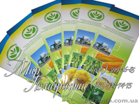 Макетирование и печать евро-флаеров - <ro>Изображение</ro><ru>Изображение</ru> #7, <ru>Объявление</ru> #483522