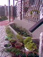 Отдых в Крыму! Недорого!!! - <ro>Изображение</ro><ru>Изображение</ru> #3, <ru>Объявление</ru> #560795