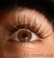  обучение биозавивке ресниц. курсы биозавивки ресниц киев.биозавивка ресниц. - <ro>Изображение</ro><ru>Изображение</ru> #1, <ru>Объявление</ru> #650090
