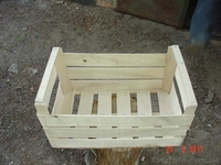 Корзинки лотки для клубники и грибов из шпона, с Доставкой по Украине. ОПТОМ  - <ro>Изображение</ro><ru>Изображение</ru> #6, <ru>Объявление</ru> #657323