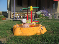 Отдых в Евпатории в Заозерном - <ro>Изображение</ro><ru>Изображение</ru> #6, <ru>Объявление</ru> #656943