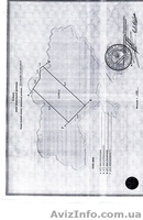 Участок в лесу 25 соток под застройку Васильков - <ro>Изображение</ro><ru>Изображение</ru> #2, <ru>Объявление</ru> #668154