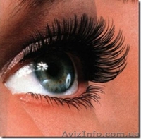 Курсы наращивания ресниц, биозавивка ресниц  в киеве. наращивание ресниц киев ку - <ro>Изображение</ro><ru>Изображение</ru> #2, <ru>Объявление</ru> #650077