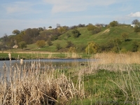 Продам ветхий дом на 17,5 сот в Белогородке - <ro>Изображение</ro><ru>Изображение</ru> #2, <ru>Объявление</ru> #646563