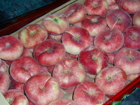 Frukti v Ispanii! Lleida. Kostochkovie frukti. - <ro>Изображение</ro><ru>Изображение</ru> #10, <ru>Объявление</ru> #608281