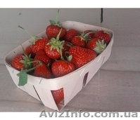 Корзинки лотки для клубники и грибов из шпона, с Доставкой по Украине. ОПТОМ  - <ro>Изображение</ro><ru>Изображение</ru> #1, <ru>Объявление</ru> #657323