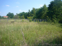 Участок 6 сот. в 10 км. от Киева (Конча Заспа, Плюты)! - <ro>Изображение</ro><ru>Изображение</ru> #2, <ru>Объявление</ru> #700015