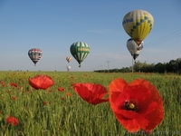 Полеты на воздушном шаре в Крыму и Украине - <ro>Изображение</ro><ru>Изображение</ru> #2, <ru>Объявление</ru> #679664