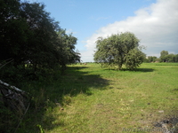 Продається будинок в с. Вересочі - <ro>Изображение</ro><ru>Изображение</ru> #3, <ru>Объявление</ru> #697582