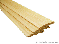 Сибирская лиственница Киев Украина - <ro>Изображение</ro><ru>Изображение</ru> #1, <ru>Объявление</ru> #153132