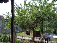 Дом, с.Хмильна, 25км. от Киева, 25 соток - <ro>Изображение</ro><ru>Изображение</ru> #3, <ru>Объявление</ru> #717200