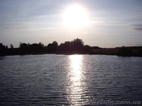 Дом, с.Хмильна, 25км. от Киева, 25 соток - <ro>Изображение</ro><ru>Изображение</ru> #4, <ru>Объявление</ru> #717200