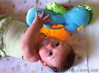 Новый ночник Морской конек Fisher Price - <ro>Изображение</ro><ru>Изображение</ru> #6, <ru>Объявление</ru> #727644