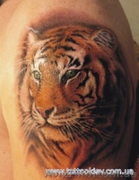 Татуировки Киев, салон тату Киев, сделать татуировку в Киеве фото - <ro>Изображение</ro><ru>Изображение</ru> #3, <ru>Объявление</ru> #714043