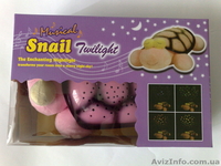 Ночник Черепаха Звездное Небо Музыкальная - <ro>Изображение</ro><ru>Изображение</ru> #3, <ru>Объявление</ru> #712396