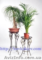 Кованые подставки для цветов kovkakiev.com - <ro>Изображение</ro><ru>Изображение</ru> #7, <ru>Объявление</ru> #648490