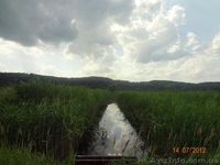 Продам участок 20 соток в с. Подгорцы - <ro>Изображение</ro><ru>Изображение</ru> #2, <ru>Объявление</ru> #729271