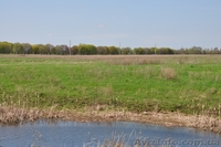 Продажа участка с электричеством 10 соток - <ro>Изображение</ro><ru>Изображение</ru> #1, <ru>Объявление</ru> #757898