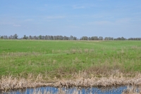 Продажа участка с электричеством 10 соток - <ro>Изображение</ro><ru>Изображение</ru> #5, <ru>Объявление</ru> #757898