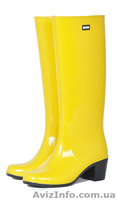 Сапоги резиновые женские - <ro>Изображение</ro><ru>Изображение</ru> #5, <ru>Объявление</ru> #762221