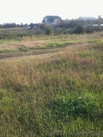 Участок в с.Ревне - <ro>Изображение</ro><ru>Изображение</ru> #2, <ru>Объявление</ru> #781981