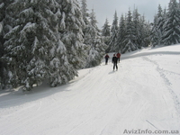 Новый год в Карпатах! - <ro>Изображение</ro><ru>Изображение</ru> #2, <ru>Объявление</ru> #781766