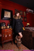 Garment4u оптовой и розничной Moncler пуховик и угги - <ro>Изображение</ro><ru>Изображение</ru> #1, <ru>Объявление</ru> #780871