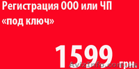 Регистрация СПД ЧП ООО под ключ Дешево - <ro>Изображение</ro><ru>Изображение</ru> #2, <ru>Объявление</ru> #794448