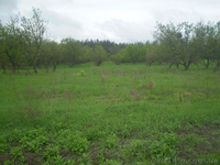 Продам участок под Киевом с. Неграши - <ro>Изображение</ro><ru>Изображение</ru> #3, <ru>Объявление</ru> #786592
