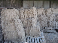 Пакля, вытруска и др. - <ro>Изображение</ro><ru>Изображение</ru> #2, <ru>Объявление</ru> #799862