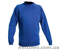 Регланы, регланы оптом от  120 грн  - <ro>Изображение</ro><ru>Изображение</ru> #1, <ru>Объявление</ru> #786306