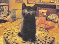 ПОДАРЮ В ДОБРЫЕ РУКИ - <ro>Изображение</ro><ru>Изображение</ru> #2, <ru>Объявление</ru> #314431