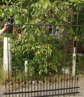 Забор металлический секционный - <ro>Изображение</ro><ru>Изображение</ru> #2, <ru>Объявление</ru> #804037