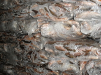 вяленая,копченая,свежемороженая рыба - <ro>Изображение</ro><ru>Изображение</ru> #2, <ru>Объявление</ru> #827754