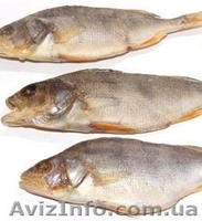 вяленая,копченая,свежемороженая рыба - <ro>Изображение</ro><ru>Изображение</ru> #7, <ru>Объявление</ru> #827754