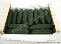 Томаты,огурец ,перец,баклажаны из Испании - <ro>Изображение</ro><ru>Изображение</ru> #2, <ru>Объявление</ru> #817083