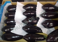 Томаты,огурец ,перец,баклажаны из Испании - <ro>Изображение</ro><ru>Изображение</ru> #4, <ru>Объявление</ru> #817083