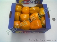 Томаты,огурец ,перец,баклажаны из Испании - <ro>Изображение</ro><ru>Изображение</ru> #7, <ru>Объявление</ru> #817083