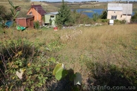 Продам дачный участок с. кулибаба, Васильковский р-он - <ro>Изображение</ro><ru>Изображение</ru> #4, <ru>Объявление</ru> #823052