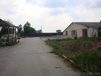 Продам действующий грибной бизнес. Сергей , 067-12-999-44 - <ro>Изображение</ro><ru>Изображение</ru> #2, <ru>Объявление</ru> #821189