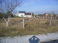 Продаю участок 11сот 18км от Киева - <ro>Изображение</ro><ru>Изображение</ru> #3, <ru>Объявление</ru> #821078