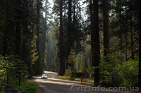 Земельные участки 7км от Киева - <ro>Изображение</ro><ru>Изображение</ru> #1, <ru>Объявление</ru> #824033