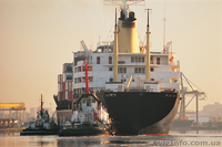 Международные и региональные грузоперевозки - <ro>Изображение</ro><ru>Изображение</ru> #5, <ru>Объявление</ru> #845302